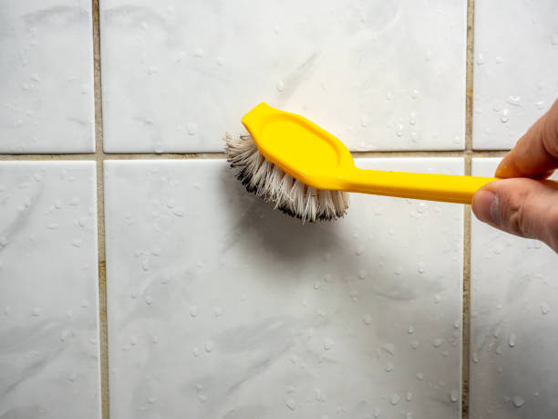  Lockport Heights, IL Mold Removal Pros