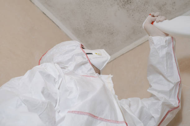 Best Crawl Space Mold Removal  in Lockport Heights, IL